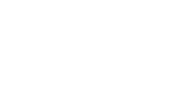 The Orient Kobe